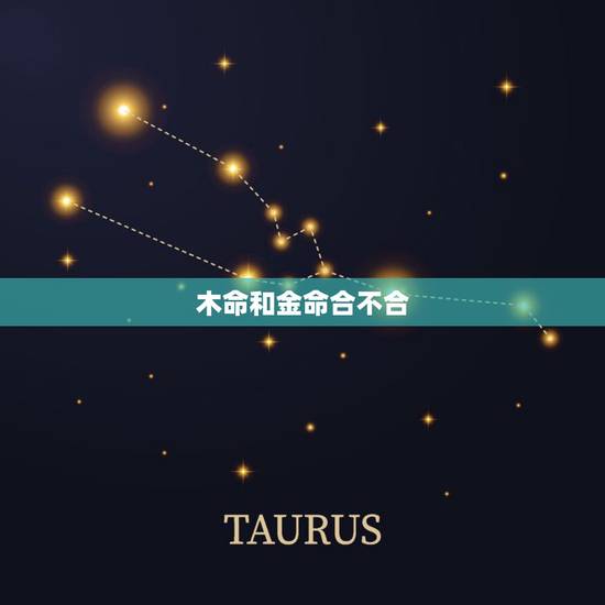 木命和金命合不合,金命和木命合不合 木命和金命合不合,金命和木命合不合