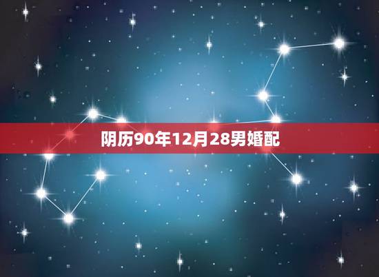 阴历90年12月28男婚配，1990年农历12月28日是属什么的？
