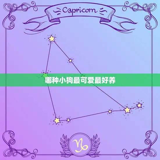 哪种小狗最可爱最好养 哪种小狗最可爱最好养