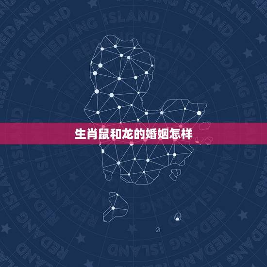 生肖鼠和龙的婚姻怎样,男鼠女龙婚姻状况 生肖鼠和龙的婚姻怎样,男鼠女龙婚姻状况