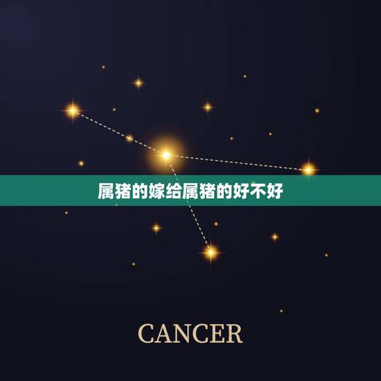 属猪的嫁给属猪的好不好,属猪的男人命运和婚姻怎么样 属猪的嫁给属猪的好不好,属猪的男人命运和婚姻怎么样