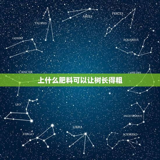 上什么肥料可以让树长得粗，施什么肥料能使树苗的主杆长得粗壮而不要长高。
