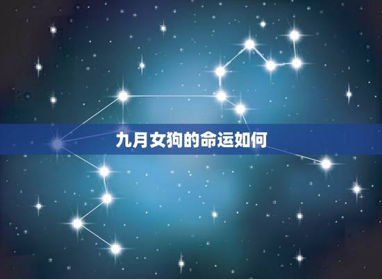 九月女狗的命运如何,狗年九月出生是什么命 九月女狗的命运如何,狗年九月出生是什么命