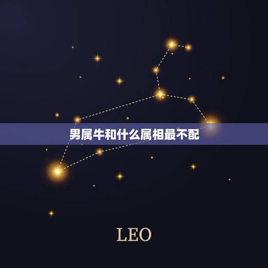 男属牛和什么属相最不配,男属牛的和什么属相相配最佳 – 百度· 男属牛和什么属相最不配,男属牛的和什么属相相配最佳 – 百度·