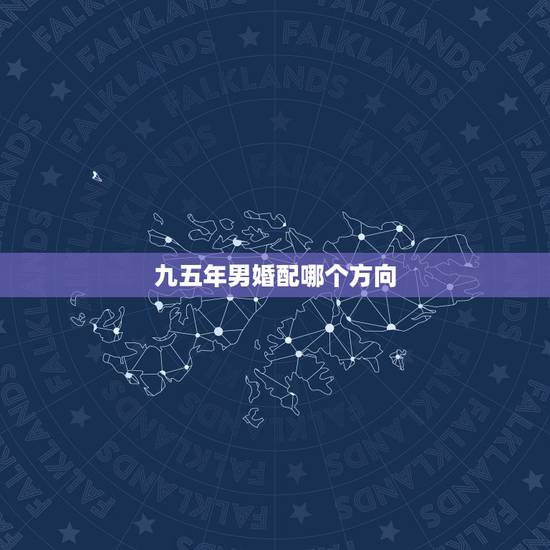九五年男婚配哪个方向，九五年的猪和什么属相最相陪