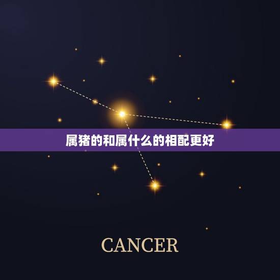 属猪的和属什么的相配更好,属猪与什么属相相配 属猪的和属什么的相配更好,属猪与什么属相相配