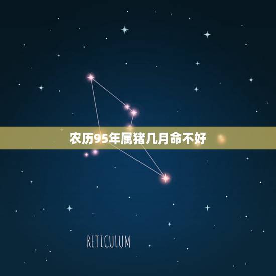 农历95年属猪几月命不好,95年农历三月的猪命苦 农历95年属猪几月命不好,95年农历三月的猪命苦