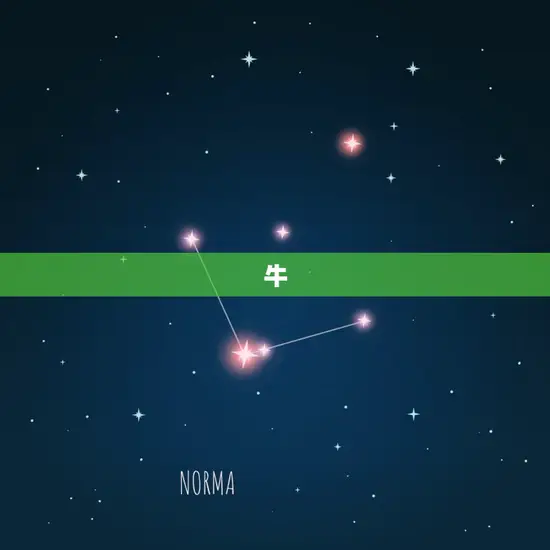 牛 牛