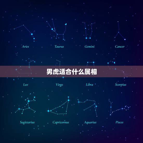 男虎适合什么属相,属虎的和什么属相最配 男虎适合什么属相,属虎的和什么属相最配