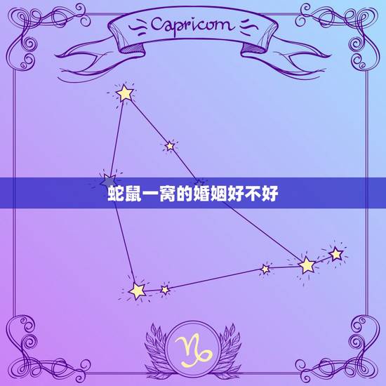 蛇鼠一窝的婚姻好不好,什么叫蛇鼠一窝! 蛇鼠一窝的婚姻好不好,什么叫蛇鼠一窝!