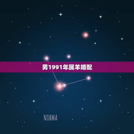 男1991年属羊婚配，1991年属羊最佳婚配
