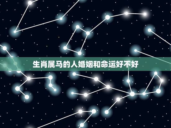 生肖属马的人婚姻和命运好不好,属马人的性格,属马人的婚姻与命运,属马和 生肖属马的人婚姻和命运好不好,属马人的性格,属马人的婚姻与命运,属马和