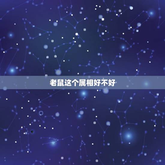 老鼠这个属相好不好，属鼠的人为什么运气不好