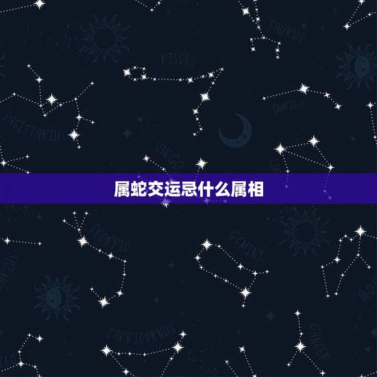 属蛇交运忌什么属相，1971年属猪忌讳什么属相