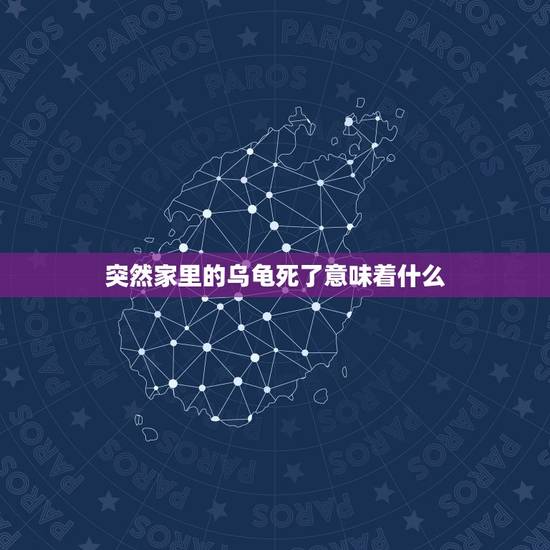 突然家里的乌龟死了意味着什么，乌龟死了是有什么预兆