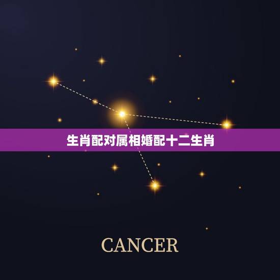 生肖配对属相婚配十二生肖，十二生肖的婚配？