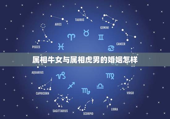 属相牛女与属相虎男的婚姻怎样，中国有那些夫妻是属牛女和属虎男在一起一辈