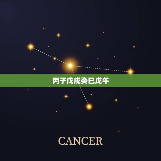丙子戊戌癸巳戊午,丙戌乙未甲寅戊辰 丙子戊戌癸巳戊午,丙戌乙未甲寅戊辰