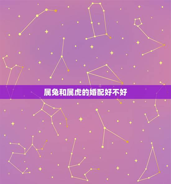 属兔和属虎的婚配好不好，属虎的与属兔的配婚好不好