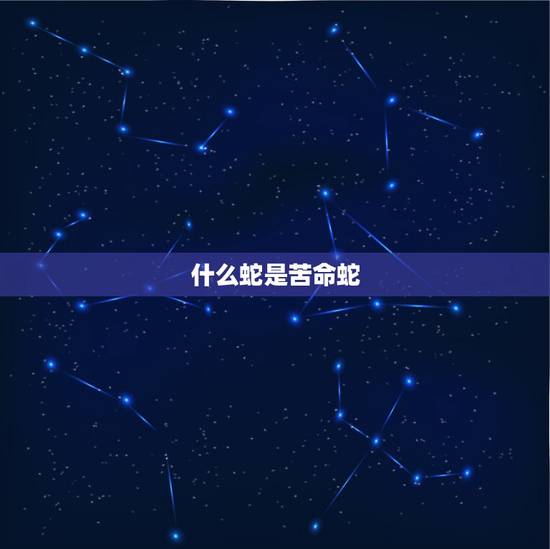 什么蛇是苦命蛇，属蛇的五行是什么命