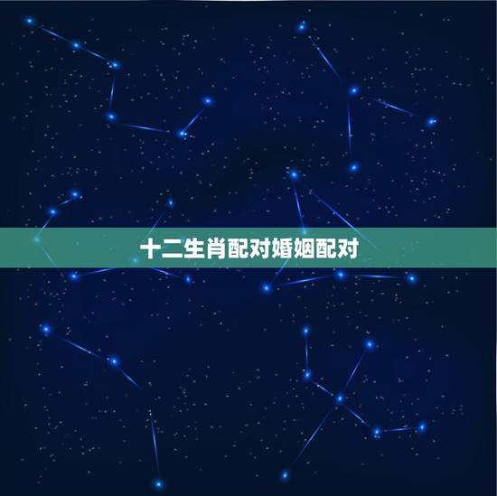 十二生肖配对婚姻配对，十二生肖属相婚姻相配