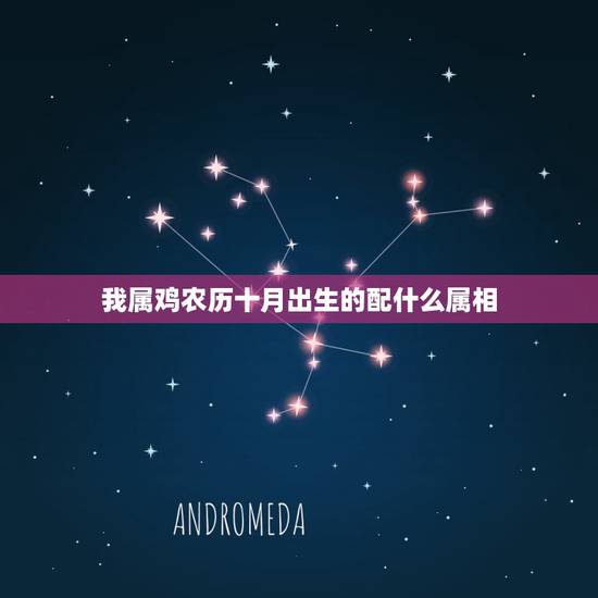 我属鸡农历十月出生的配什么属相,属鸡的十月出生好不好 我属鸡农历十月出生的配什么属相,属鸡的十月出生好不好