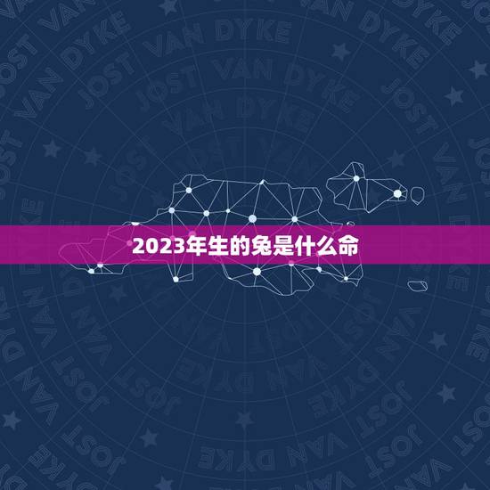 2023年生的兔是什么命,2024年是什么命 2023年生的兔是什么命,2024年是什么命