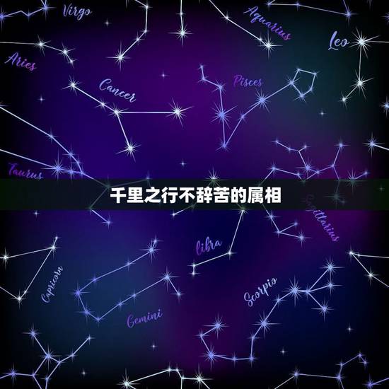 千里之行不辞苦的属相，千里之行不辞苦代表什么生肖