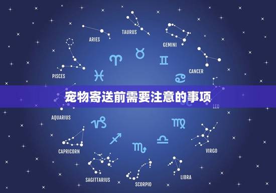 宠物寄送前需要注意的事项 宠物寄送前需要注意的事项