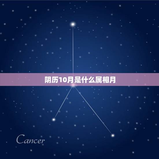 阴历10月是什么属相月,俩都属虎的女阴历10月19男12月15看属相和 阴历10月是什么属相月,俩都属虎的女阴历10月19男12月15看属相和