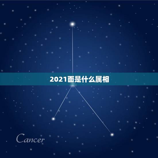 2021面是什么属相，2021年属什么生肖？