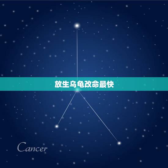 放生乌龟改命最快，乌龟养到什么时候放生最好？