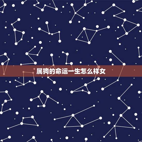 属狗的命运一生怎么样女，属狗40岁后有十年大运