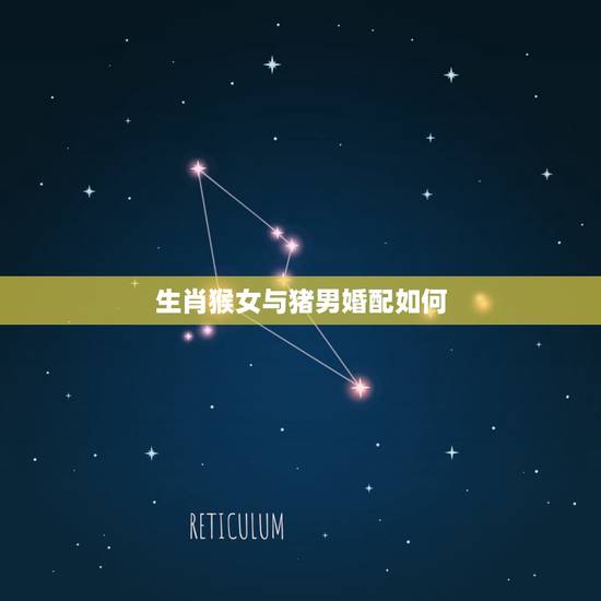 生肖猴女与猪男婚配如何，女猴和猪男配婚好吗