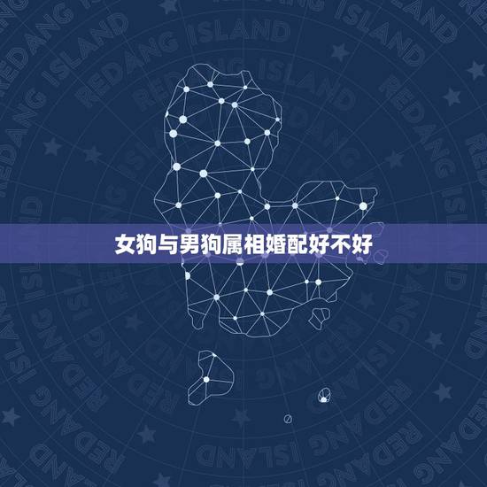 女狗与男狗属相婚配好不好，女属猪和男属狗配吗？能具体说说吗？