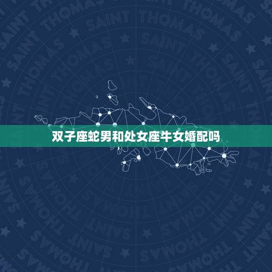 双子座蛇男和处女座牛女婚配吗，双子座男和处女座女相配吗？