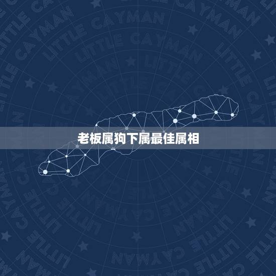 老板属狗下属最佳属相，属狗的人与什么属相合作好