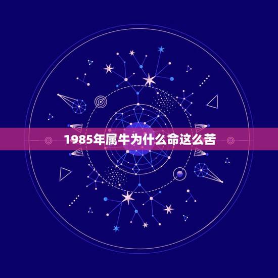 1985年属牛为什么命这么苦 85年牛的性格怎么样 1985年属牛为什么命这么苦 85年牛的性格怎么样