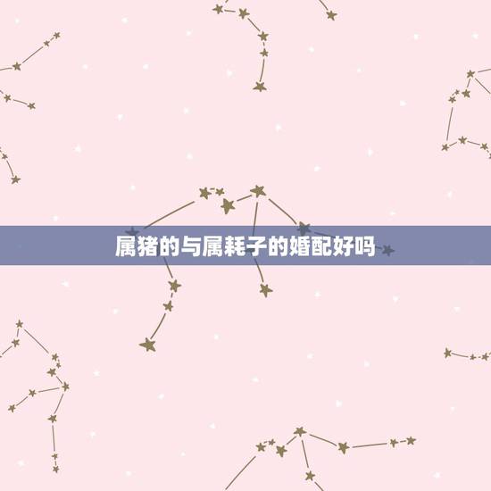 属猪的与属耗子的婚配好吗,属鼠和属猪的相配吗 属猪的与属耗子的婚配好吗,属鼠和属猪的相配吗