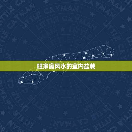 旺家庭风水的室内盆栽，家里养什么植物旺财