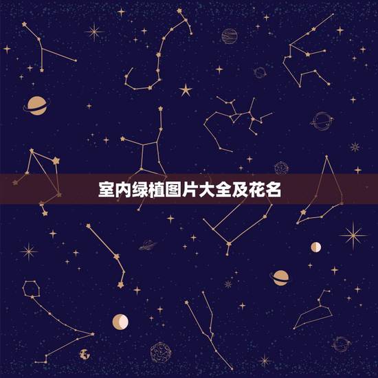室内绿植图片大全及花名,求植物花卉名称,看图辨别花名 室内绿植图片大全及花名,求植物花卉名称,看图辨别花名