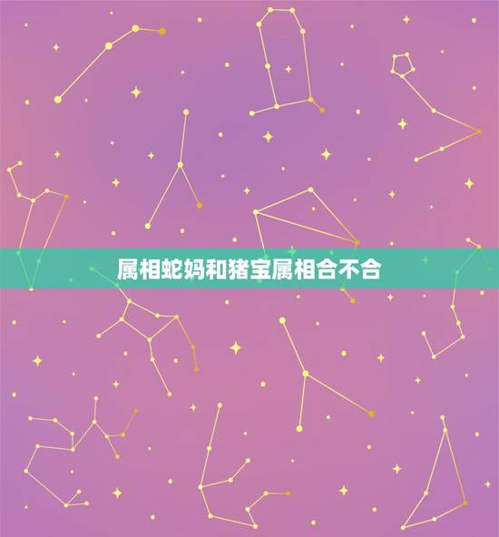 属相蛇妈和猪宝属相合不合，属相龙跟属相蛇相克吗？