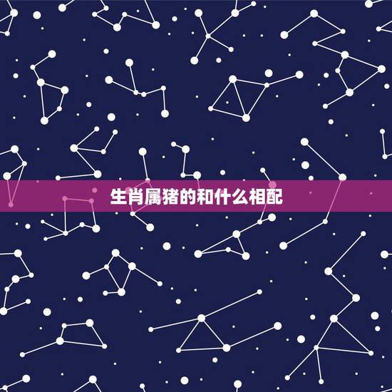 生肖属猪的和什么相配,生肖属兔的和什么相配 生肖属猪的和什么相配,生肖属兔的和什么相配