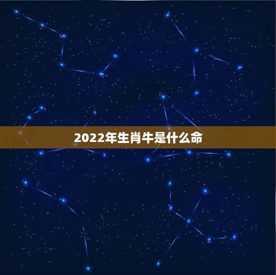 2022年生肖牛是什么命，2022年虎年是什么命