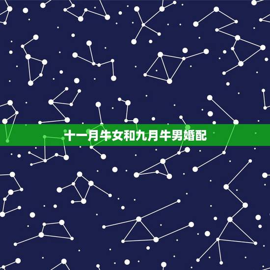 十一月牛女和九月牛男婚配，男女﻿属牛的属相婚配表大全 属牛和哪个属相最