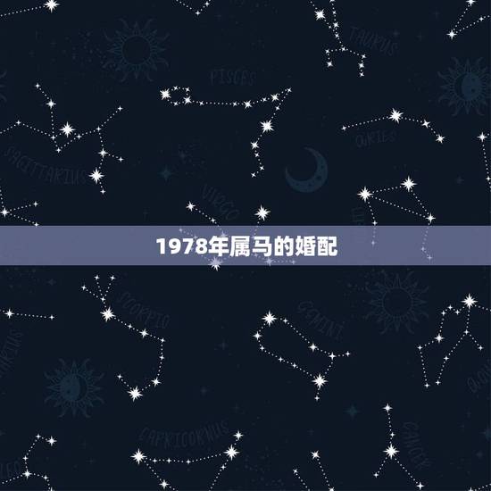 1978年属马的婚配,1978年属马的和属什么的最相配? 1978年属马的婚配,1978年属马的和属什么的最相配?