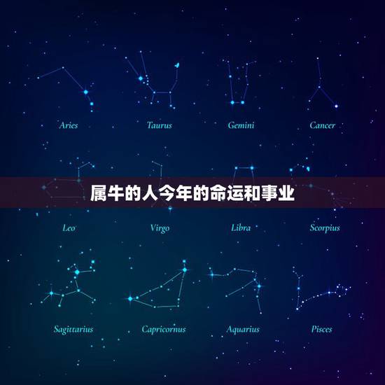 属牛的人今年的命运和事业，属牛的今年什么命运