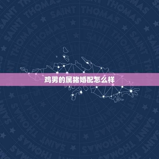 鸡男的属猪婚配怎么样，属鸡男与属猪女相配吗