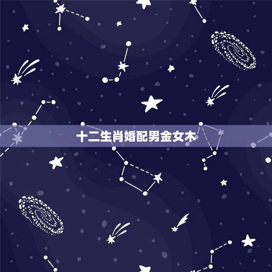 十二生肖婚配男金女木,十二生肖男女婚配表 十二生肖婚配男金女木,十二生肖男女婚配表