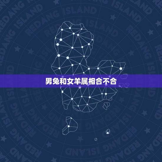 男兔和女羊属相合不合(十二生肖配对介绍)